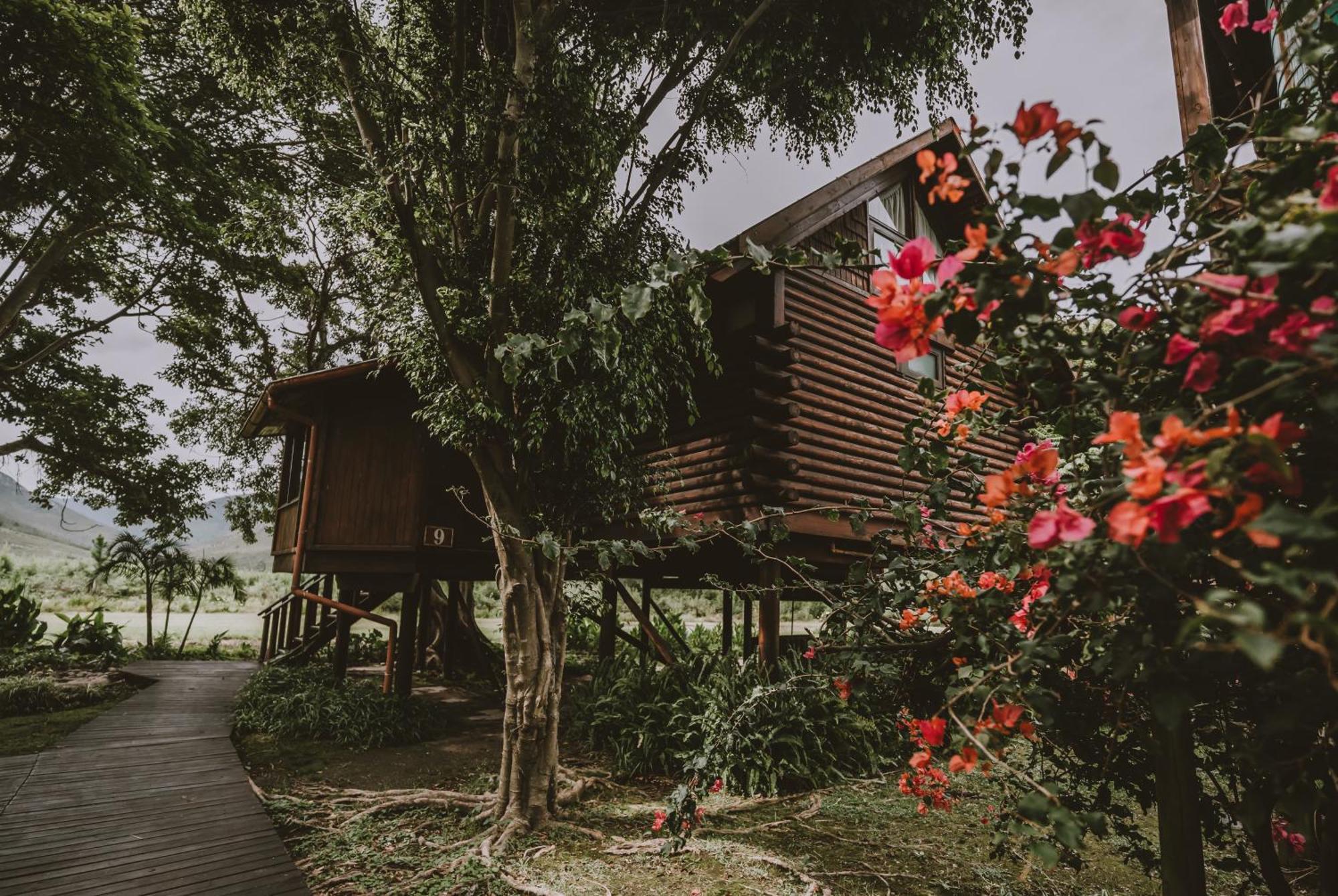 Tsitsikamma Lodge & Spa Stormsrivier Eksteriør bilde