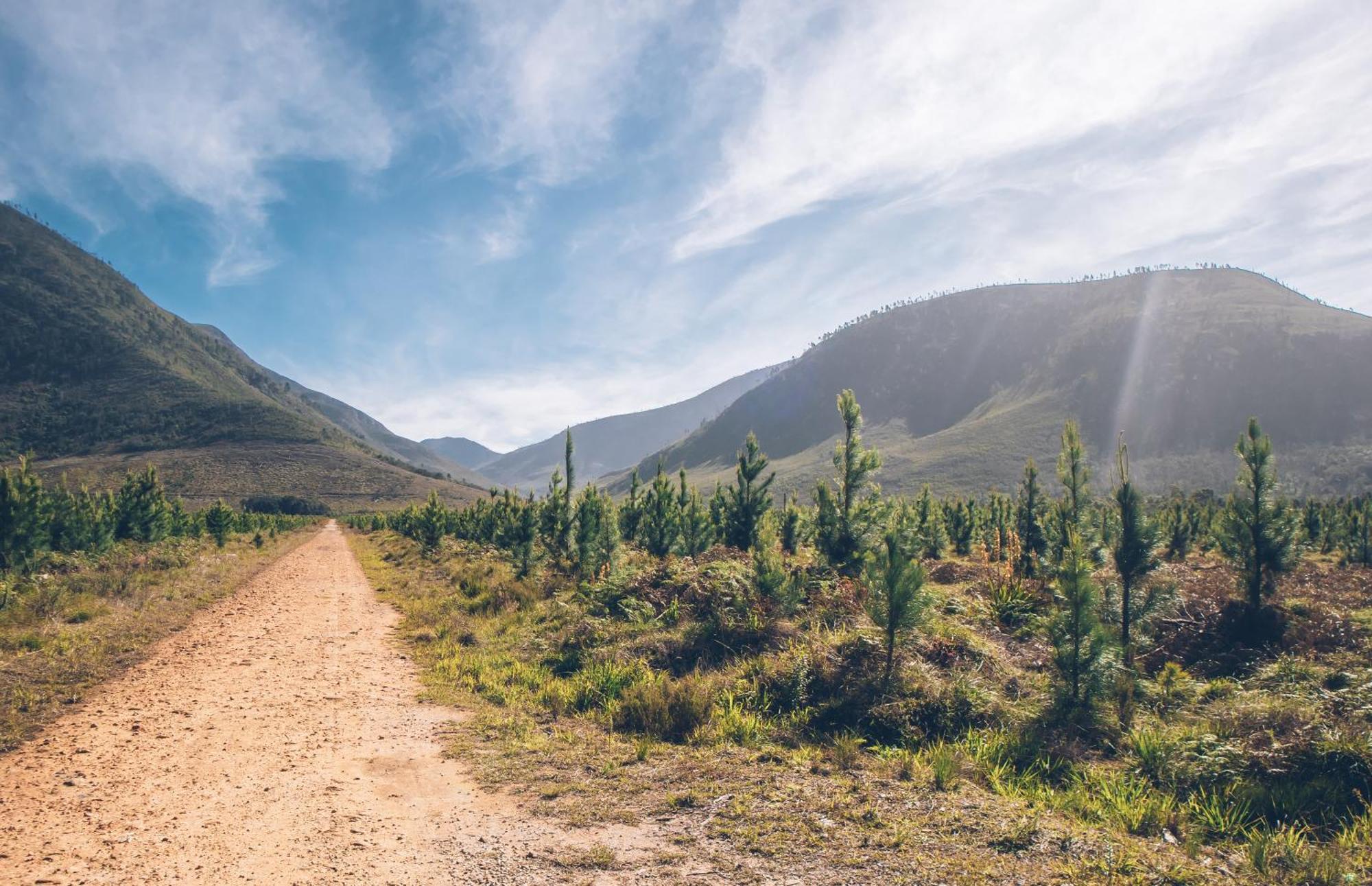 Tsitsikamma Lodge & Spa Stormsrivier Eksteriør bilde