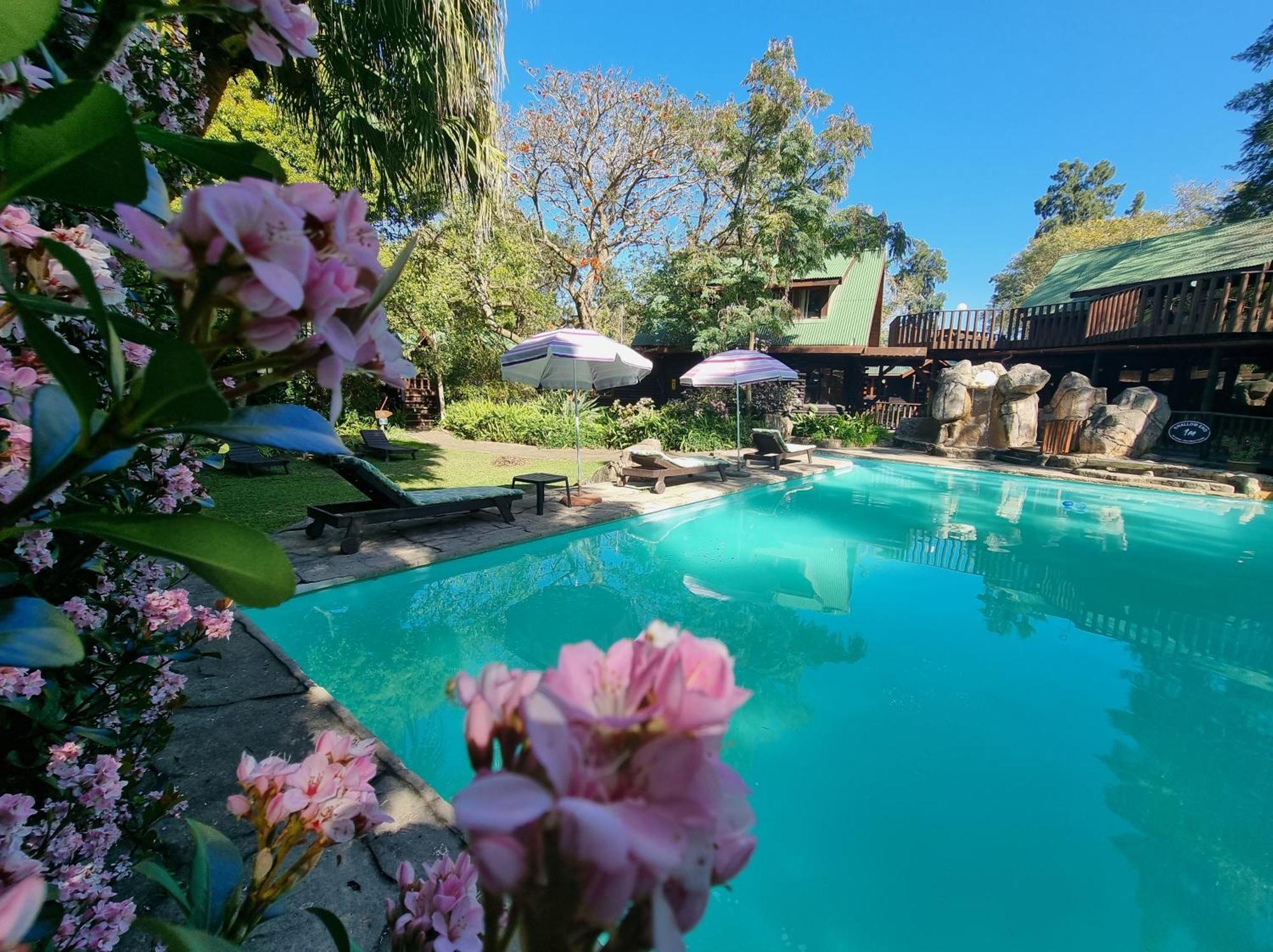 Tsitsikamma Lodge & Spa Stormsrivier Eksteriør bilde